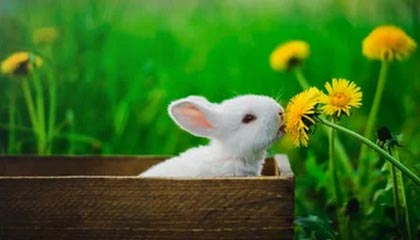 开云平台-拜仁防守挖坑进攻填，巅峰对决弗利克赌对17岁神童